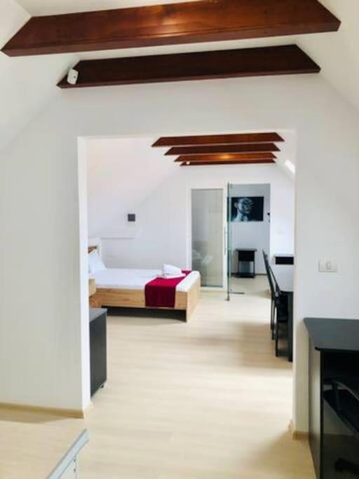 Joy City Stay Unirii 41 2 Τιμισοάρα Εξωτερικό φωτογραφία